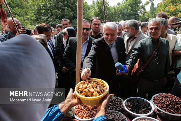 سفر وزیر میراث فرهنگی به قزوین