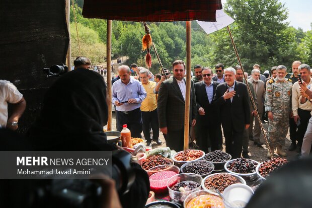 سفر وزیر میراث فرهنگی به قزوین