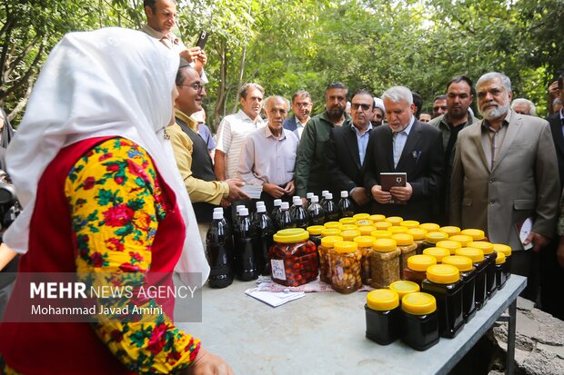 سفر وزیر میراث فرهنگی به قزوین