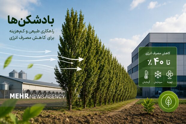 بادشکن‌ها؛ ظرفیت مغفول برای مهار مصرف انرژی در کشور