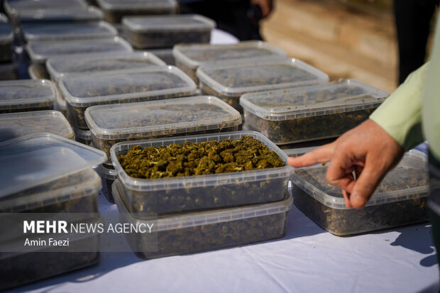 کشف مواد مخدر در فارس