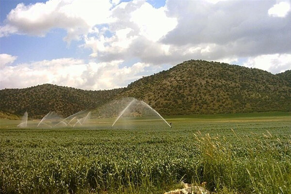 مراغه میزبان سی و دومین اجلاس سالانه موسسه تحقیقات کشاورزی دیم کشور
