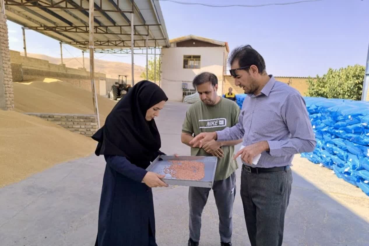 تحلیل خبر: لزوم ارتقای کیفیت بذر و تسریع توزیع نهاده‌ها در لرستان | مهر - کد e8da