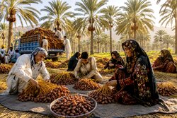 فصل هامین در بلوچستان؛ روایت همدلی مردمان بلوچ