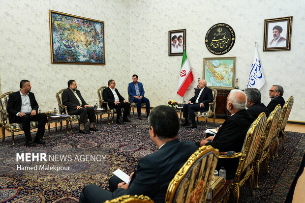 دیدار مسئول ارتباطات اسلامی جنبش حماس با رئیس مجلس