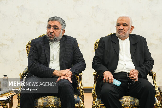 دیدار مسئول ارتباطات اسلامی جنبش حماس با رئیس مجلس
