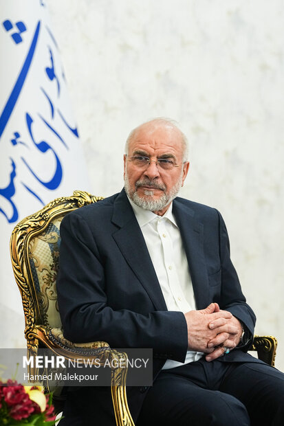 دیدار مسئول ارتباطات اسلامی جنبش حماس با رئیس مجلس
