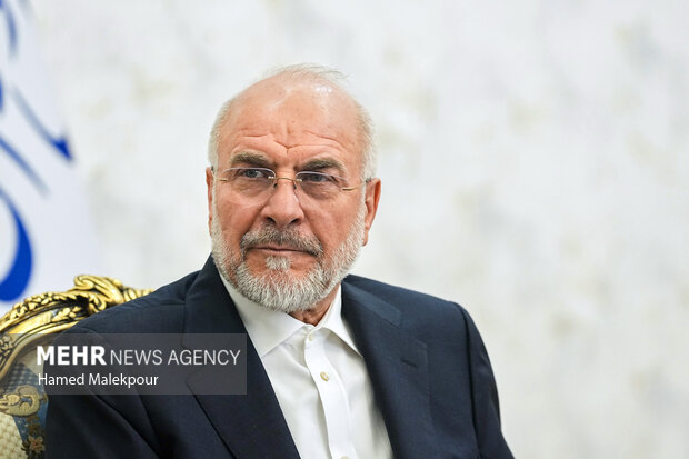 دیدار مسئول ارتباطات اسلامی جنبش حماس با رئیس مجلس
