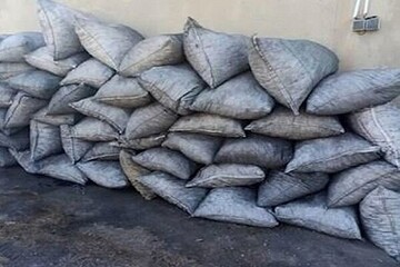 زخم سیاهِ زغال بر تن سبز جنگل؛ ردپای کوره‌ها به بلوطستان رسید
