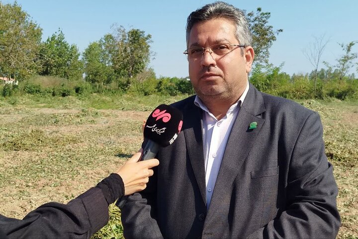 آستانه اشرفیه؛ قطب بادامزمینی در انتظار تکمیل زنجیره تولید تا بازار