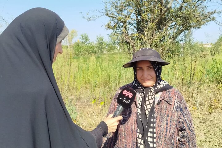 آستانه اشرفیه؛ قطب بادامزمینی در انتظار تکمیل زنجیره تولید تا بازار