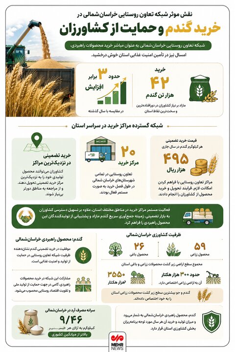 اینفوگرافیک؛خرید ۴۲ هزار تن گندم از کشاورزان خراسان‌شمالی