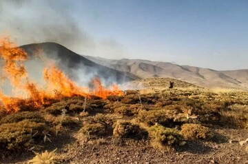 مرادی: حریق در ۲ هزار مترمربع از مراتع دیواندره مهار شد