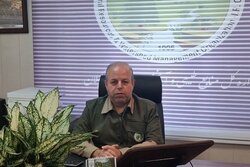 رفع تصرف ۱۴ هکتار از اراضی ملی در ییلاقات رضوانشهر