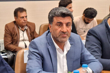وزارت صمت به زیرساخت‌های صنعتی و معدنی شهرستان دهلران توجه کند