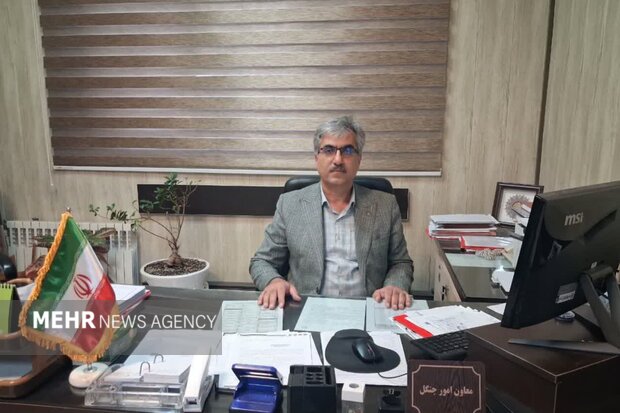 جنگل هیرکانی؛ زیرساخت سبزی که در محاصره «قاتلان خاموش» است