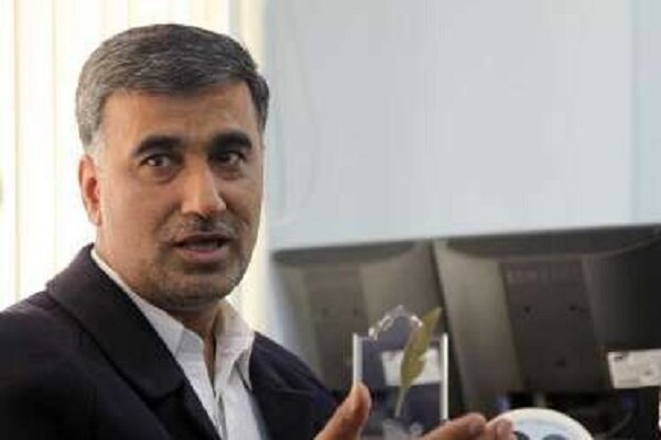 اتحاد کشورهای مسلمان مانع تعرض و نفوذ بیگانگان میشود