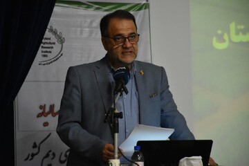 امیری‌راد: کشاورزی کشور باید در برابر خشکسالی و بحران‌ها تاب‌آور شود