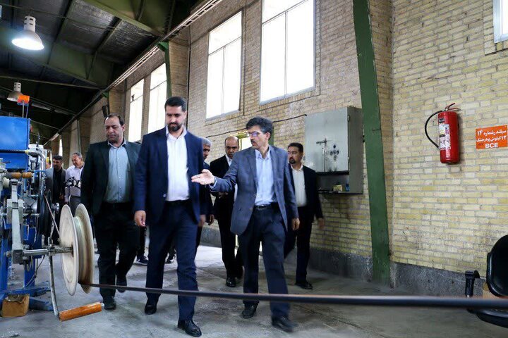 ابراهیمی: تعاونی‌ها باید پیشران تکمیل زنجیره‌های ارزش اقتصادی باشند