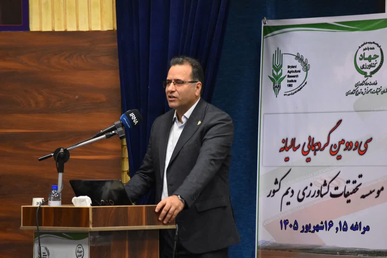 کشاورزی دیم؛ ضرورت راهبردی برای افزایش تولید و امنیت غذایی کشور