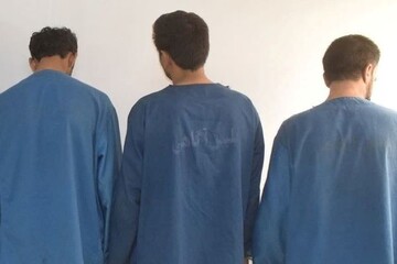 دستگیری سارقان حرفه‌ای در بوشهر؛ ۱۹ فقره سرقت  کشف شد