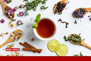 آموزش «معجون» پیشنهادی طب سنتی برای سلامت روده