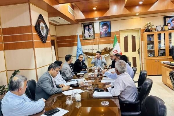 مهرانگیز: عوارض خودرو به نفع شهرداری‌های استان  وصول می شود