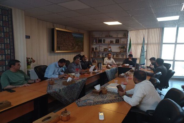 ۶ درخت کهنسال کردستان در مسیر ثبت ملی