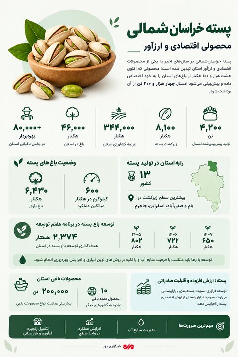 اینفوگرافیک؛ پسته خراسان شمالی محصولی اقتصادی و ارز آور