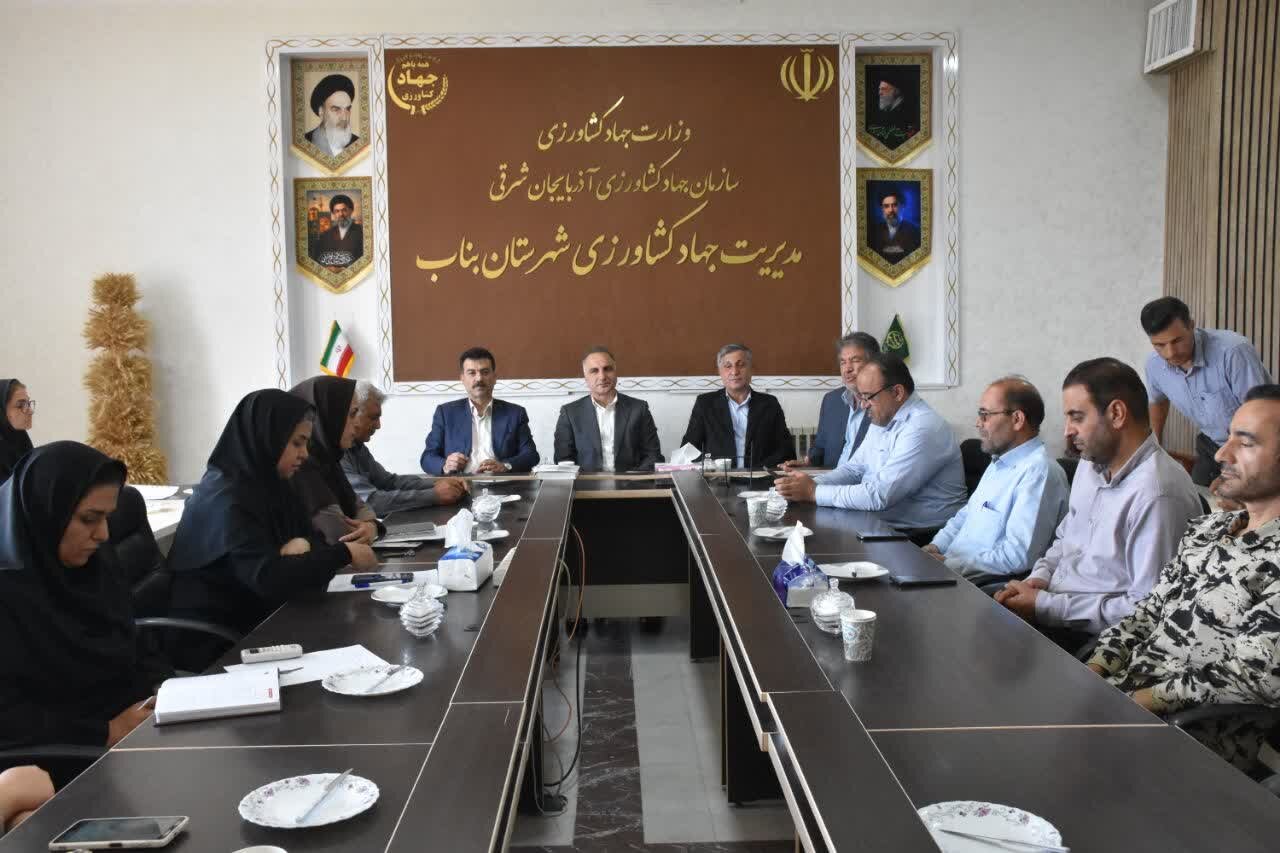 آنجفی: با واقعی‌سازی قیمت‌ها سهم واقعی کشاورز از تولید محقق می‌شود