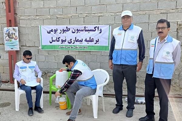 طرح واکسیناسیون طیور بومی علیه بیماری نیوکاسل در دشتستان اجرا شد