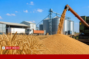 اکبر فتحی: پرداخت بدهی گندمکاران در دستور کار است