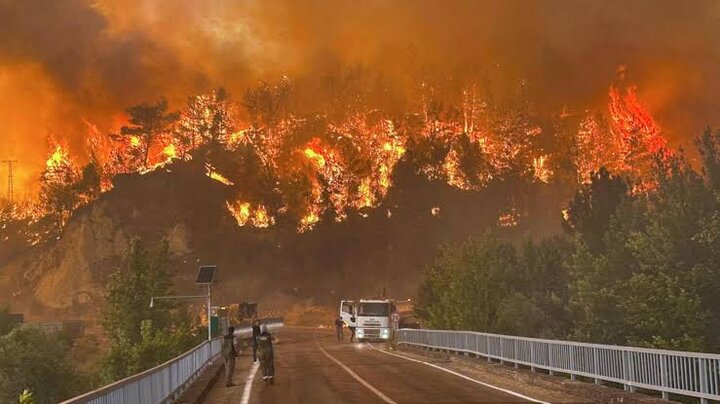 VIDEO: Massive fire engulfed Antalya, Turkey.