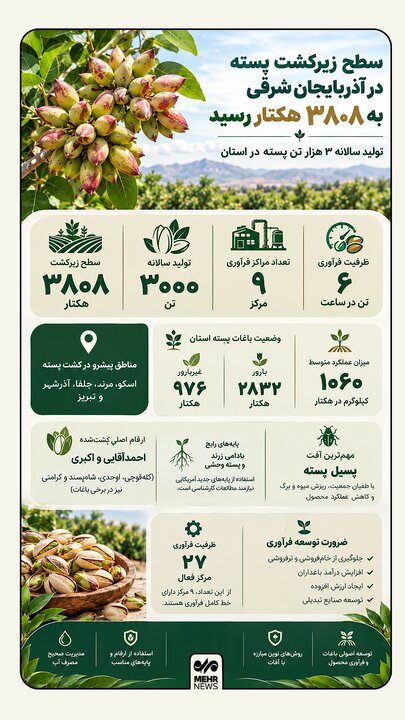 اینفوگرافیک؛ تولید سالانه ۳ هزار تن پسته در آذربایجان شرقی
