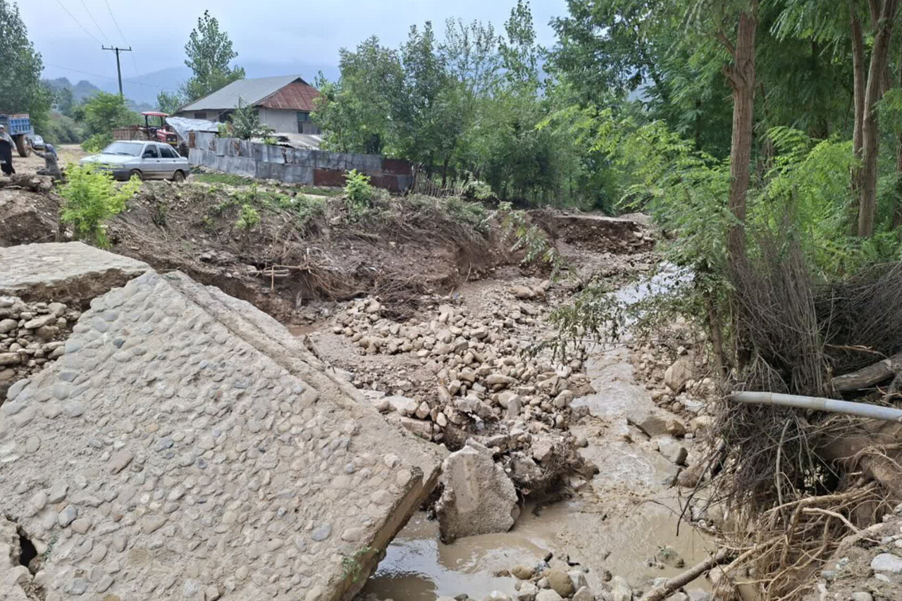 بررسی جامع: خسارت ۱۰۰ میلیارد تومانی بارندگی به کشاورزی میاندورود | مهر - کد fbaf