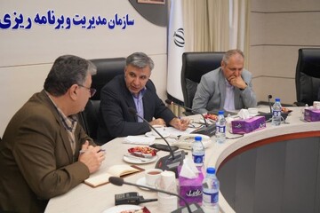 محمدی: تأمین انرژی و پایداری آن اولویت نخست برنامه‌ریزی در کردستان است
