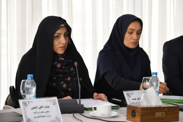 خمسه: مطالبات گندمکاران تا پایان شهریور پرداخت می‌شود