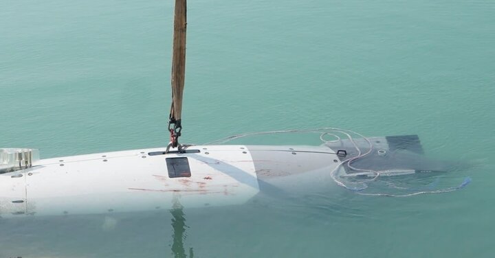 Moby-Dick