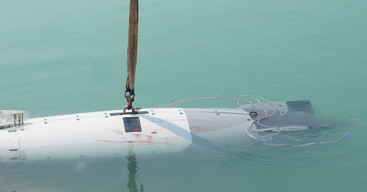 Moby-Dick catch in Hormuz