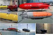 Targeting US-made UUV by Iran: why is Washington worried?