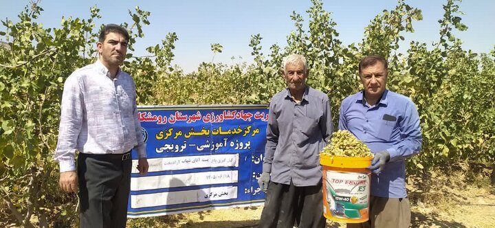 «پسته» محصول تازه زاگرس؛ کشاورزی پوست میاندازد
