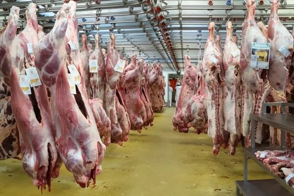 طرح احیای واحدهای غیرفعال پرواربندی گوشت قرمز در خوزستان