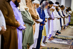 ژیان لە زاهیدان