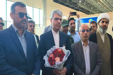 سخنگوی وزارت امور خارجه وارد لامرد شد