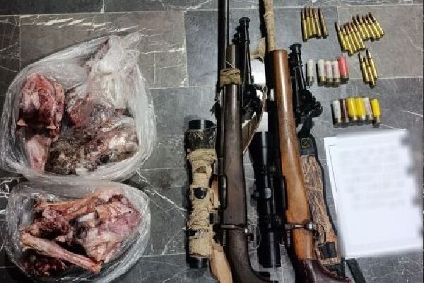 شکار غیرمجاز دو قوچ و میش وحشی در میناب متوقف شد