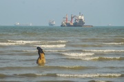FM Araqchi: Oman understanding not enough to reopen Hormuz
