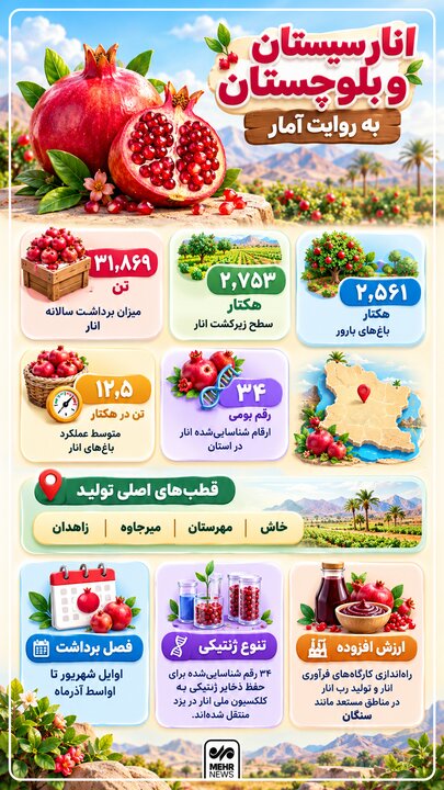 اینفوگرافیک؛ انار سیستان و بلوچستان به روایت آمار