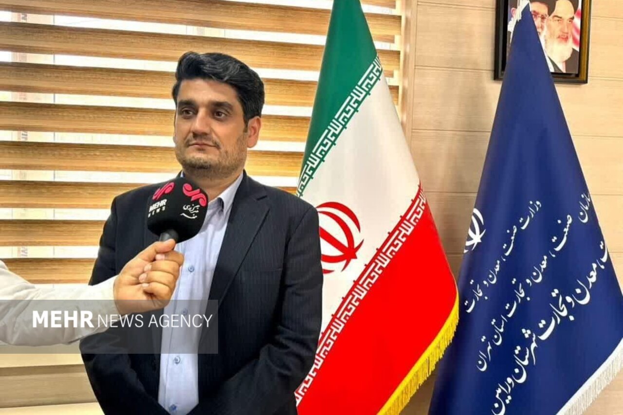 گزارش ویژه: تاجیک:تبدیل پروانه صنفی واحدهای ورامین به مجوز صنعتی پیگیری می‌شود | مهر - کد ee24