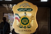 تویی: ۱۹ پرونده سرقت لوازم خودرو در اسفراین تشکیل شد