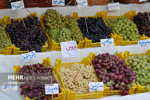 نهمین دوره جشنواره انگور ارومیه